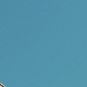 Meet your Posher, Grettel